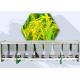 Iron gears 9 Rows Paddy Seed Planting Machine Row Space 20cm