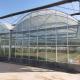 Hot-dipped Galvanized Frame Multi-span Agricultural Film Greenhouse