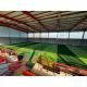 Stem Shape Artificial Football Turf With Effective Drainage System