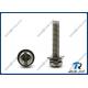 Stainless Steel Philips Slotted Pan Head SEMS Machine Screw with Double Washers