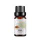 Skin 100ml Sweet Fennel OEM Essential Oil Massage Aromatherapy Diffusing