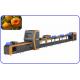 Large Output Fruit Sorting Equipment 4 Channel Fast Speed CE Certified