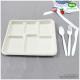 100% Biodegradable Sugarcane Pulp 5 Compartments Tray-High quality Biodegradable food tray For birthday parties