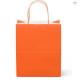 FSC CMYK Color 160gsm Eco Friendly Paper Bag