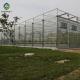 Agricultural 120km/H 10.8m Multi Span Glass Greenhouse