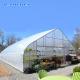 Horticultural Flower Growing Single-Span Film Tunnel Greenhouse Polyethylene Film Greenhouse