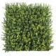 Natural Looking Green Wall Artificial Grass  Polyethylene Material For Decorating And Tidy