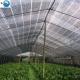 New HDPE Agriculture Greenhouse Garden Black Plastic 70% Sunshade Netting, Vegetable Greenhouse Dark Green Sunshade Net