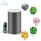 2000mAh Rechargeable Aroma Nebulizer Aroma Essence Car Diffuser