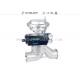 5 Globe Valve With Stainless Steel Actuator With Explosion-Proof Positioner For Mine