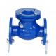 CI/DI/WCB/SS DN250 PN16 Flange End Fire Swing Check Valve with Customizable Port Size