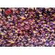 4 Way Stretch Burnout Velvet Fabric 95% Polyester 5% Spandex Fabric For Garment