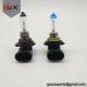 Auto Light Bulb 9006 Basic Auto Halogen Headlight Bulb 12W 100W Extremely Cool White Headlamp