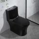 28 Dual Flush One Piece Toilet Black 12 Inch Rough In Closing Seat Soft