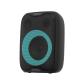 OZ-P5 40W Outdoor Party Speaker Wireless Microphone Guitar Plug In