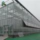 Transparent Hydroponic 0.3KN/M2 Multi Span Greenhouse