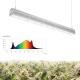Indoor / Outdoor Greenhouse LED Grow Lights Bar High Penetration 50/60Hz