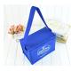 Portable Colorful Soft Insulated Cooler Bag With Different Size Available
