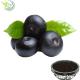 Natural Antioxidant Rich Superfood Acaiberry Extract 5% Anthocyanins Herb Extract