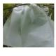 Durable Fruit Plant Protection Bag Nonwoven Biodegradable Fabric