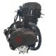 CDI Ignition DAYANG CG300 A-CLASS Motorcycle Cylinder Sea Electric/Kick Start 300cc Engine