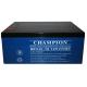 China Champion UPS Battery 12V250Ah NP250-12 SLA Battery, VRLA Battery, Sealed Lead Acid AGM Battery
