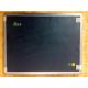 15 LCM LCD Display Panel , Chimei Innolux DisplayG150XNE-L03 Industrial Application