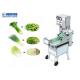 304 SUS Multifunction Vegetable Cutting Machine For Parsley 1180*550*1120mm