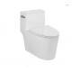 Modern Elongated WC Sanitary Ware Toilet Dual Flush 690X370X760mm