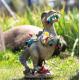 Outdoor Garden Art Deco Dinosaur and Elf Statue Garden Decoration