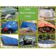 50G/M2-280G/M2 2MIL-12MIL PE Tarpaulin Cover Plastic Tarp Poly Tarp