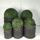 Factory direct sales best selling light weight durable round plant pots for garden decoration