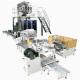 Automatic Packing Production Line