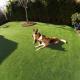 Pet Friendly Artificial Grass No Harm To People Personal Villa Different Pile Height
