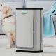 Activated Carbon Filter Air Purifier For Pet Hair And Dander