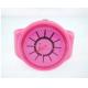 Silicone watch, promotion watch, promotion gifts, quartz watch, plastic watch