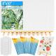 Canvas Art Sets With Wooden Easels Paint Brushes For Acrylic Oil Watercolor Painting