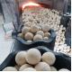 Hongtai High Alumina Refractory Balls for Heat Recovery Regenerator in Bulk Density
