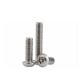 Anti-Theft Torx Pin Screw Made of SS304 Steel for Maximum Protection and Customized