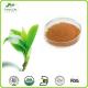 Health Product Green Tea Extract 98%Tea Polyphenol