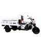 Beiyi DAYANG 150cc175cc 200cc Tricycles For Adult Cargo box size 1.8m*1.3m Load 400Kg