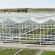 8mm Float Glass Venlo Glass Greenhouse Hydroponic System Double Layer