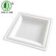 8 Inch Square Biodegradable Sugarcane Bagasse Plates Unbleached Birthday Party Disposable