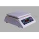 High Precision Industrial Platform Type Weighing Scale With ABS Plastic Housing