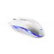 Adjustable Computer Gaming Mouse Compatible With Mac / PC / Windows XP