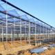Venlo Tempered Glass Greenhouse with Hydroponics Growing System Large and US Currency
