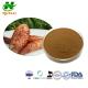 93236-42-1 Plant Extract Powder Cistanche Tubulosa Extract Cistanche Deserticola Extract