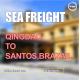 Every Friday International Sea Transportation Cargo From Qingdao To Santos Brazail
