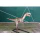 Realistic Coelurosaurs Dinosaur Lawn Statue Snow Proof For Festival Exhibition