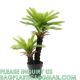 Gorgeous Cycas Revoluta Sago Palm Tree Artificial Plant with Nursery Pot, Feel Real Technology, 28 Long & Giant